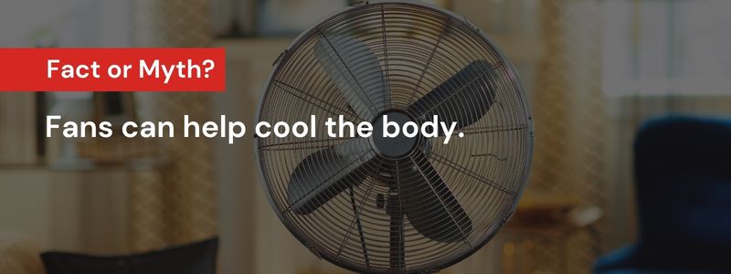 Fans can help cool the body
