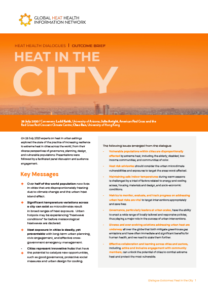 Heat in the City: Dialogue Outcome Brief