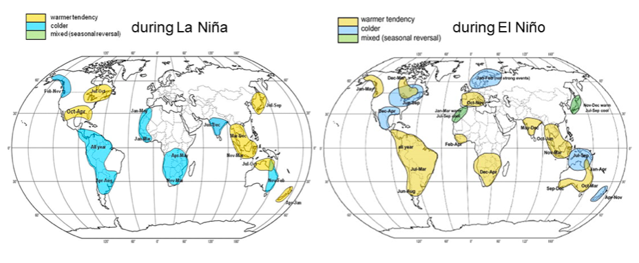 Figure 1. Schematic maps indicating the location and seasonality of the typical land temperature effects that are favoured during La Niña and El Niño events, according to the rate of occurrence analyses. Davey et al. 2014, DOI: 10.1016/J.CRM.2013.12.002. 