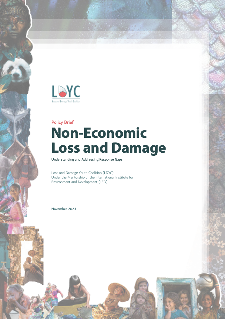 https://ghhin.org/resources/non-economic-loss-and-damage-neld-policy-gaps-and-recommendations/